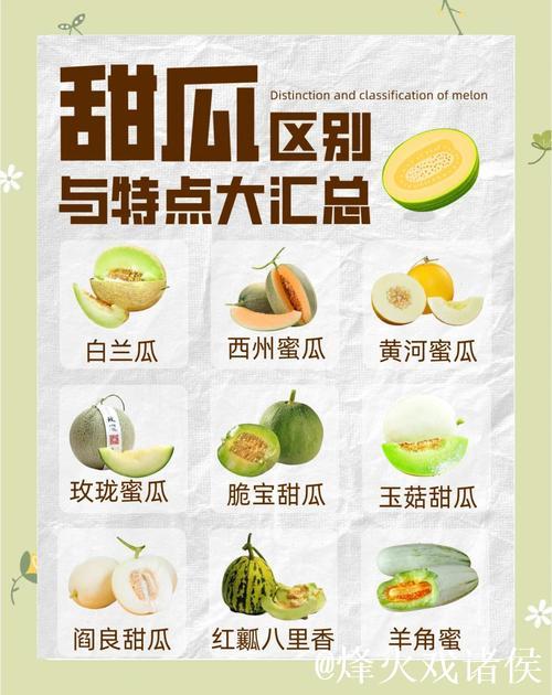 探秘网红瓜美食：最佳网站推荐