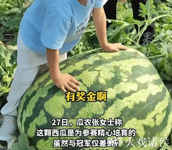 吃瓜网友必看今日最新超大瓜