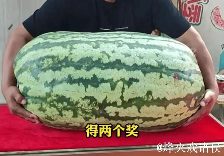 吃瓜网友必看今日最新超大瓜